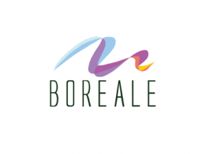 LOGOS-ALIANZAS-EOCORP_boreale-1024x769